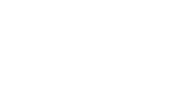 tripdo